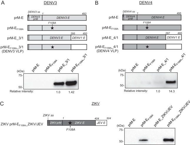 FIG 3