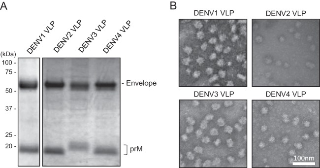 FIG 5