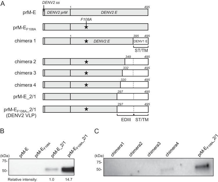 FIG 2