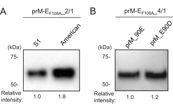 FIG 4