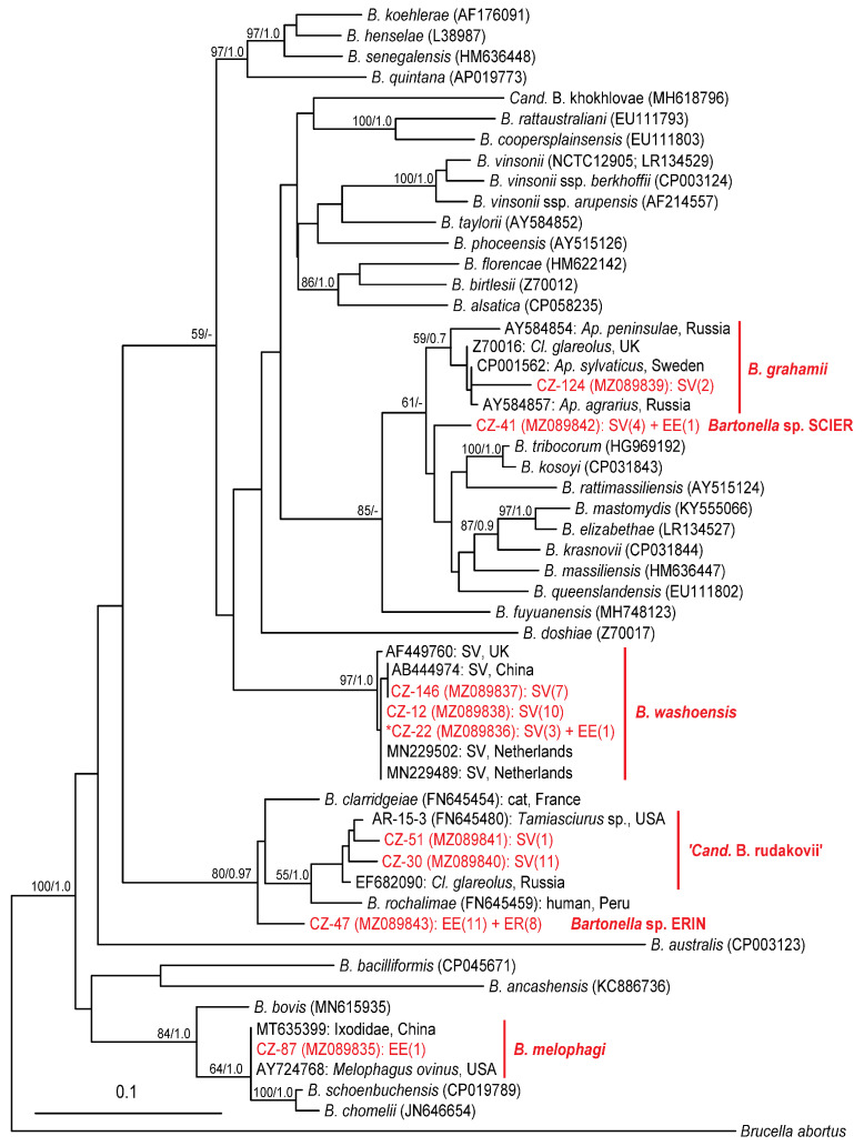 Figure 5