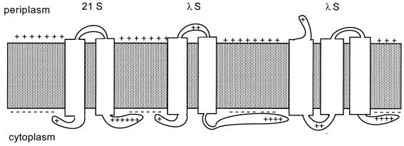 FIG. 6