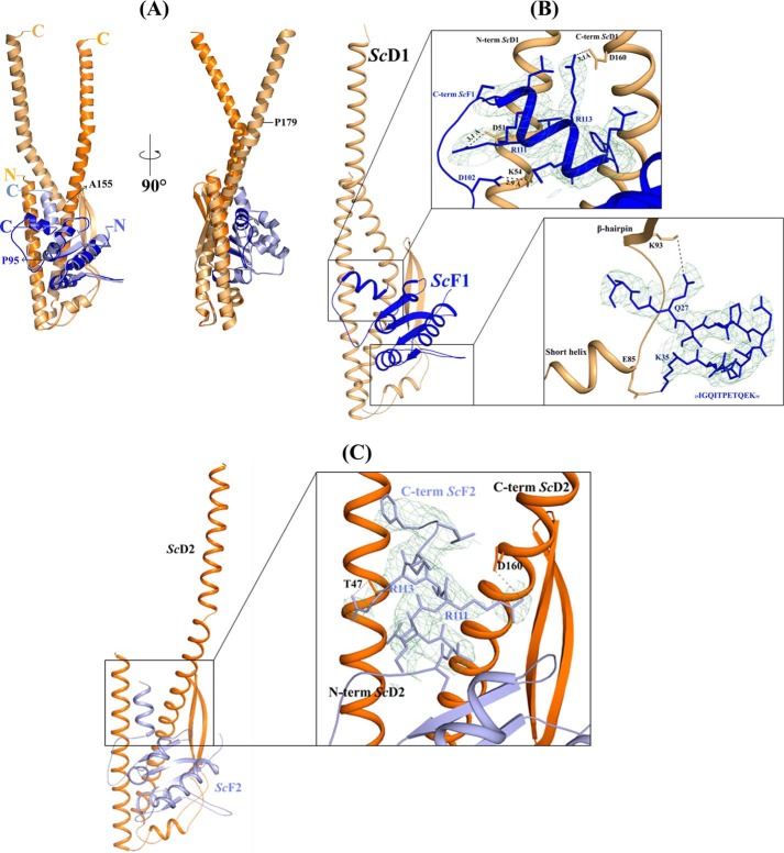 FIGURE 4.