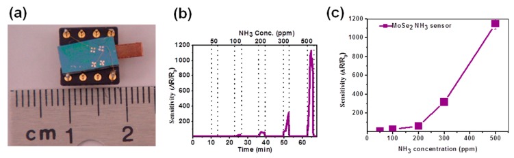 Figure 11