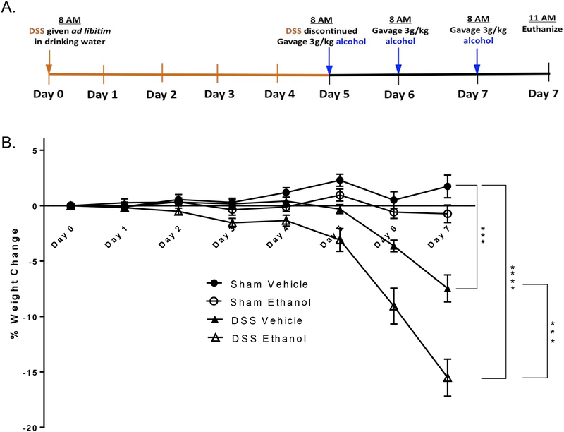 Figure 1.)