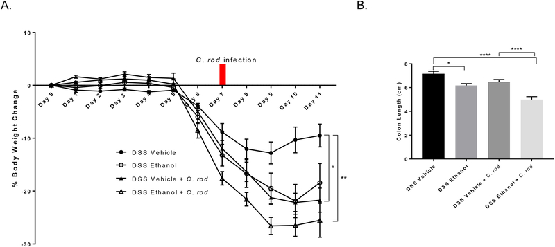 Figure 6.)