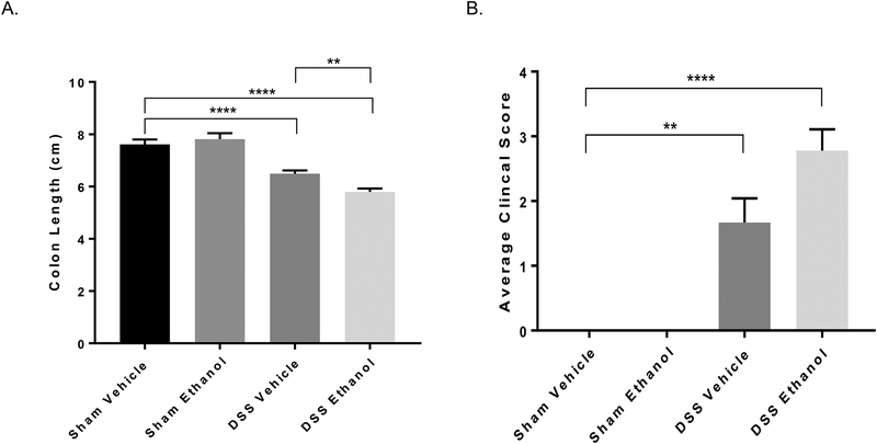 Figure 3.)