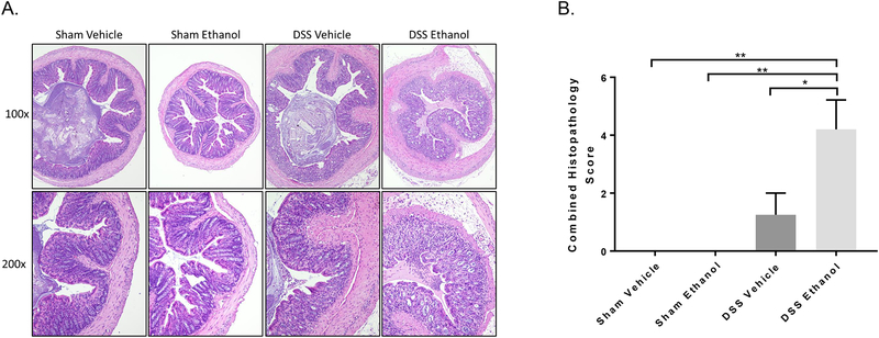 Figure 2.)