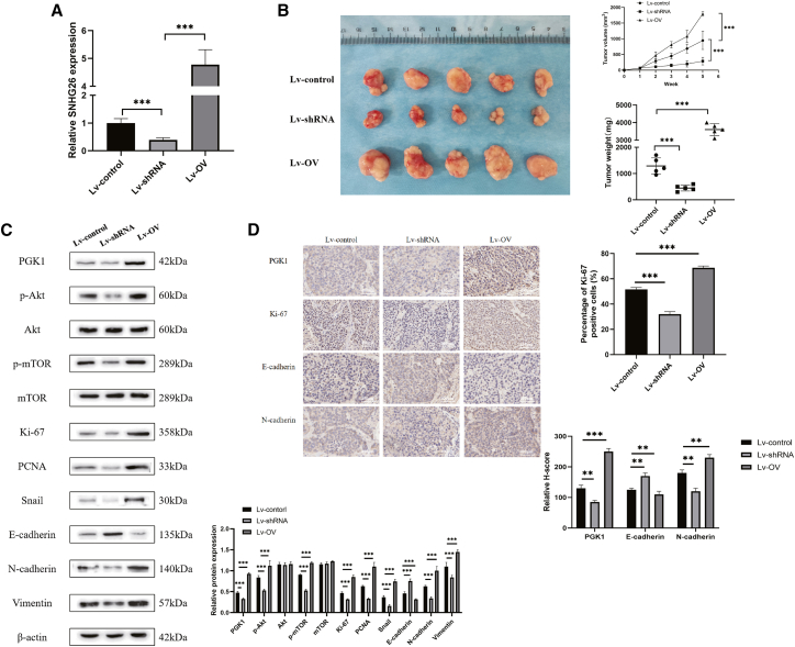 Figure 12