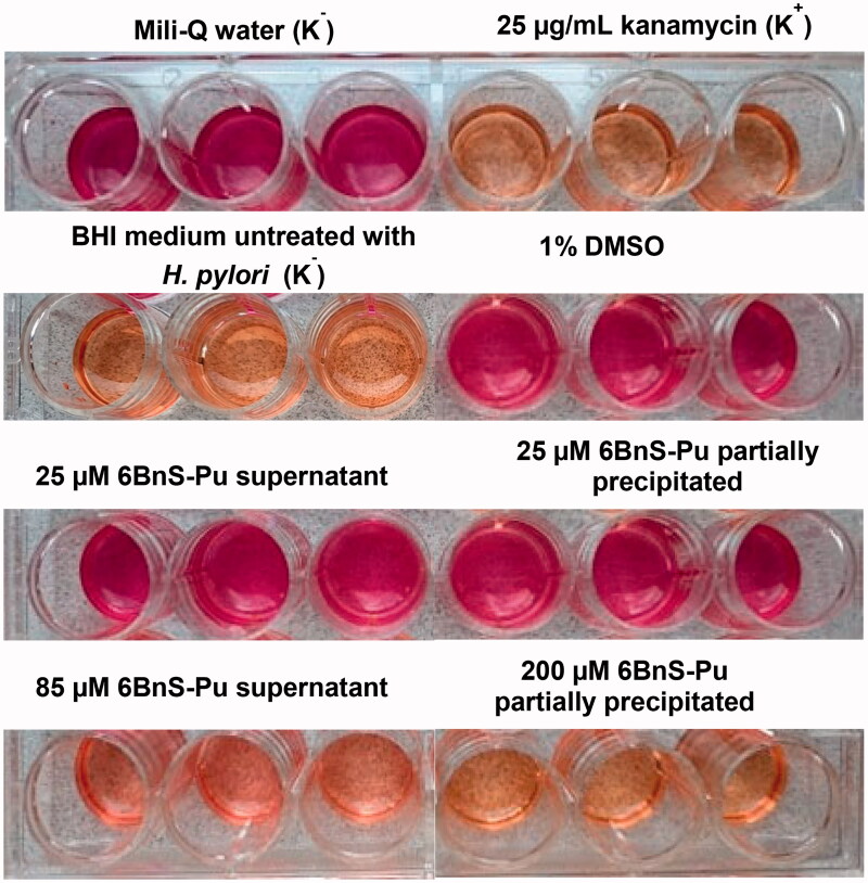 Figure 5.