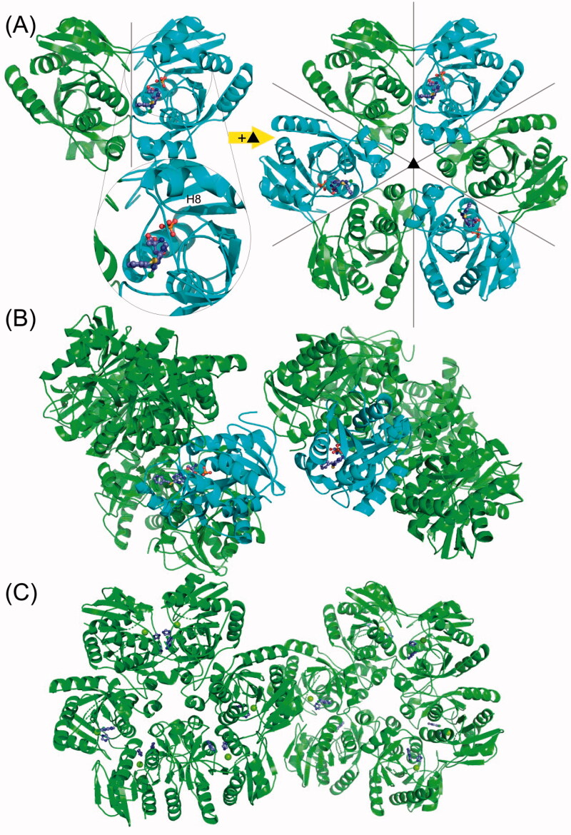 Figure 7.