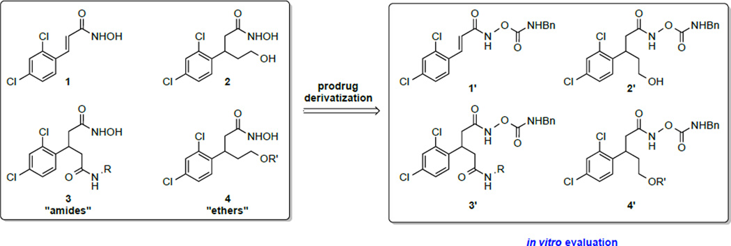 Scheme 2