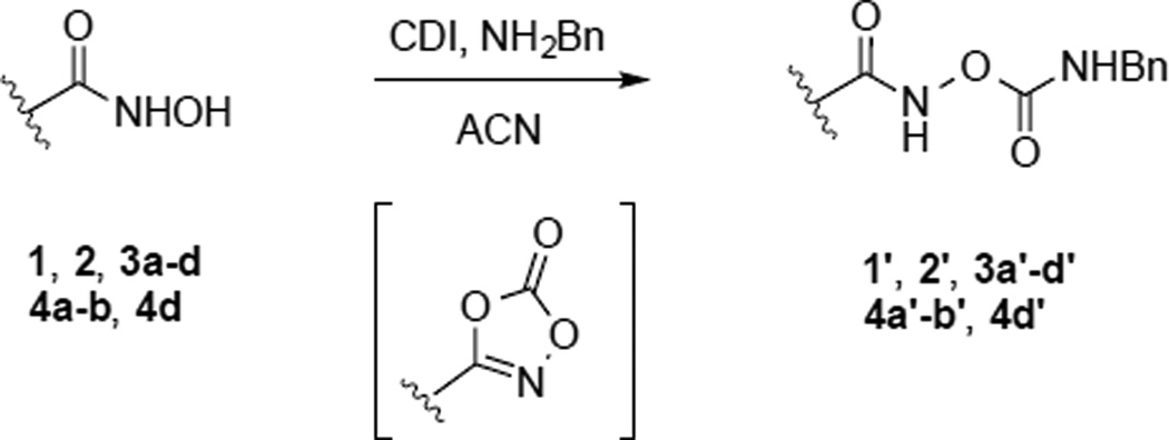 Scheme 5