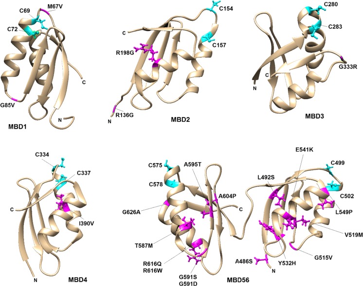 Fig. 4