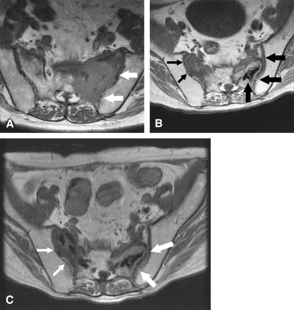 Fig 1.