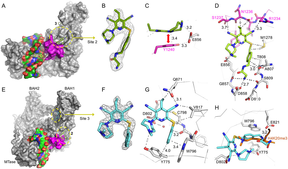 Figure 3.