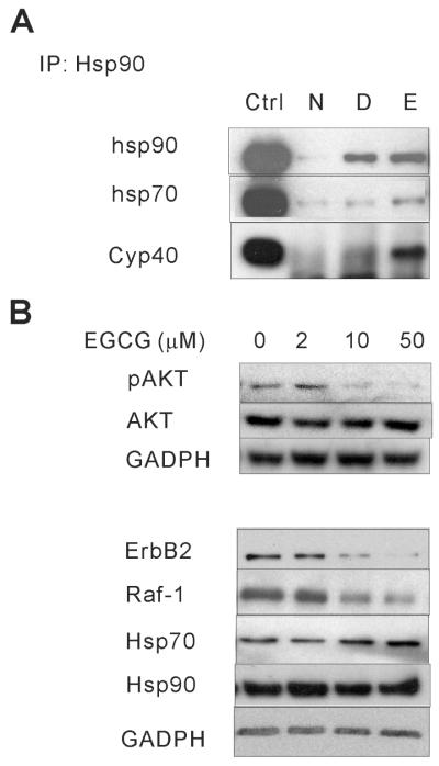 Fig.6