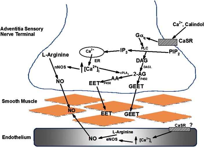 Fig. 9.