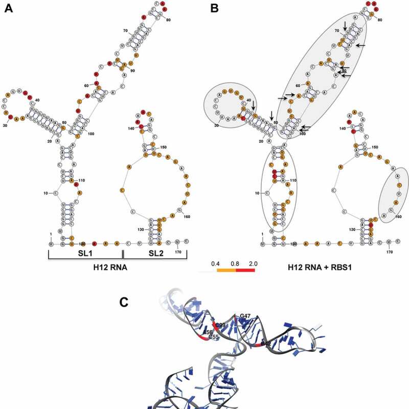 Figure 2.