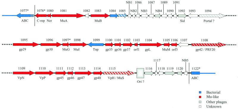 FIG. 1