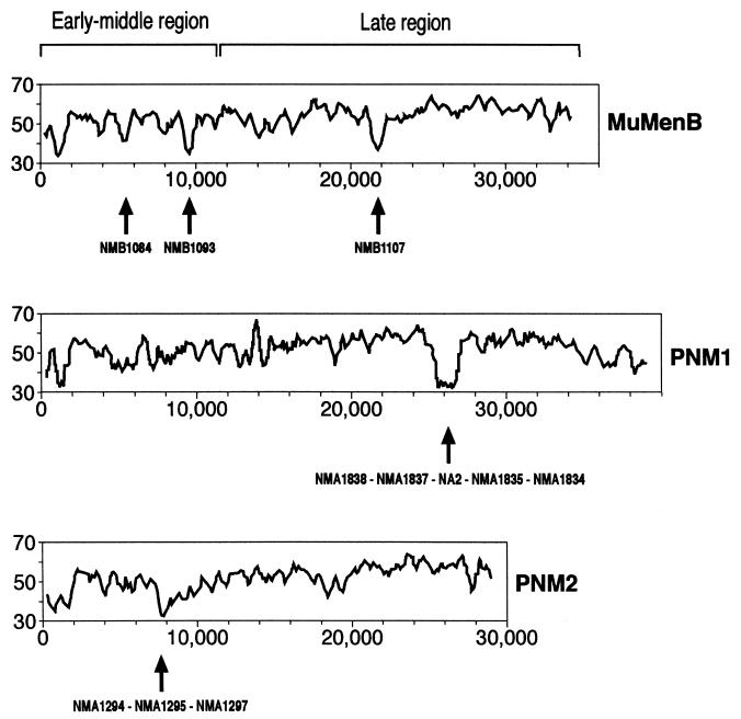 FIG. 3