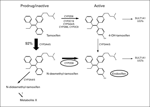 Fig 2.