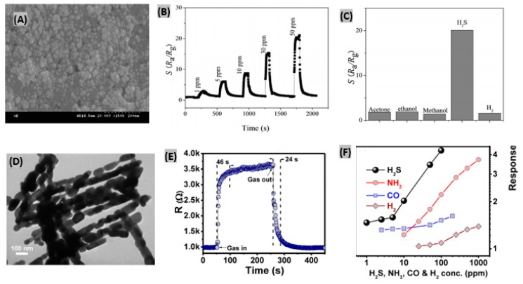 Figure 13