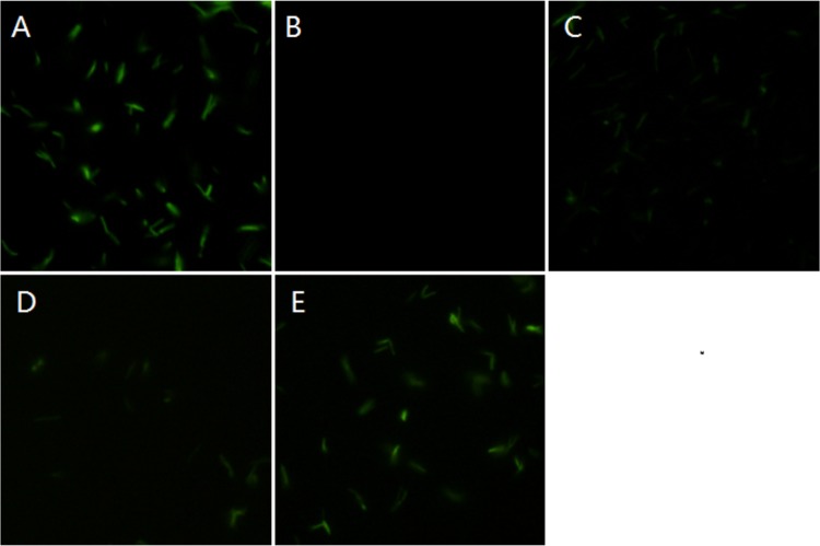 FIG 4