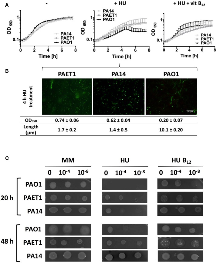 Figure 6