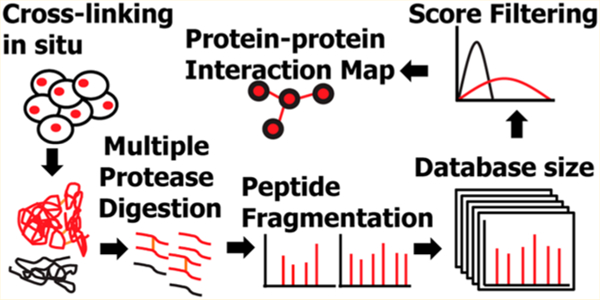 graphic file with name nihms-1618476-f0001.jpg