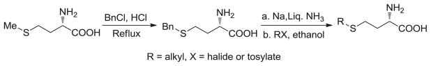 Scheme 1