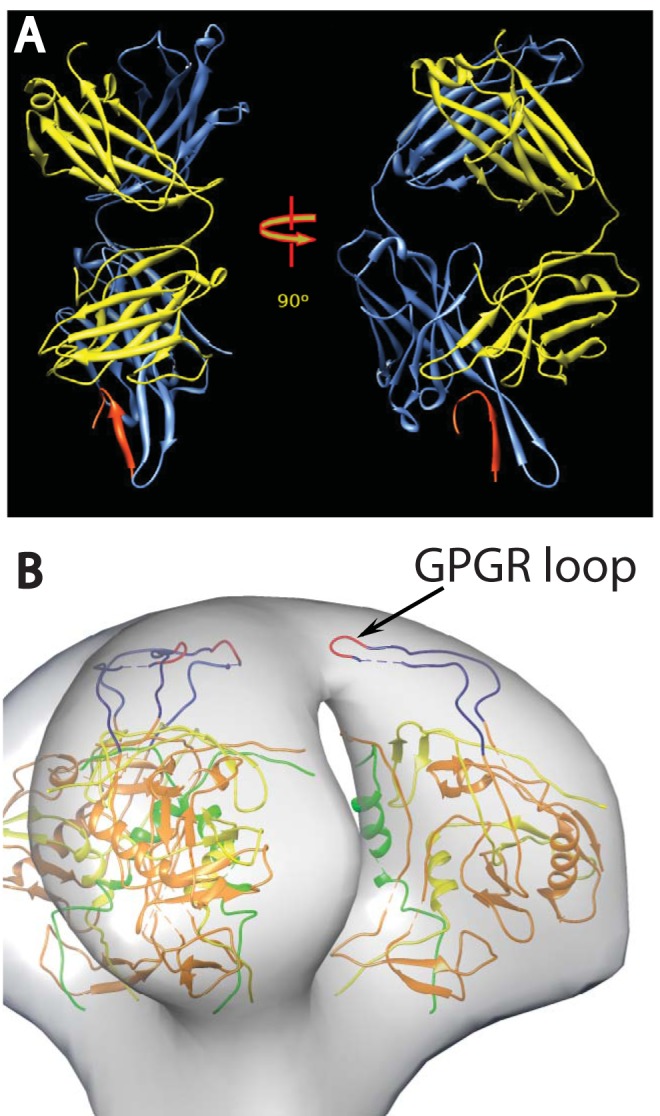 FIG 1