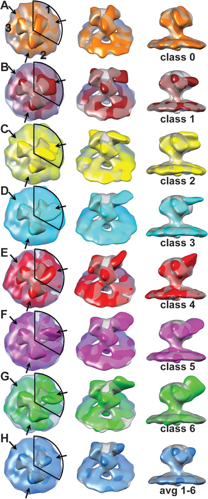 FIG 3