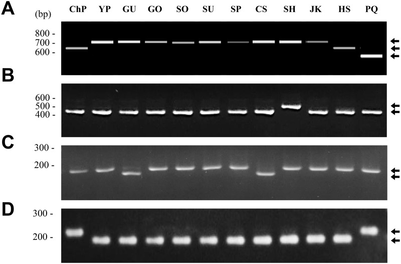 Fig 5