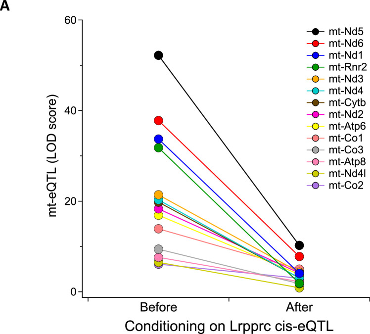 Figure 4—figure supplement 1.