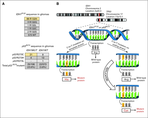 Fig 4.