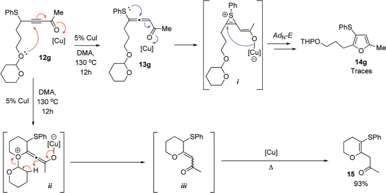 Scheme 5