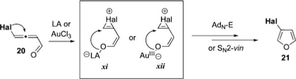 Scheme 9