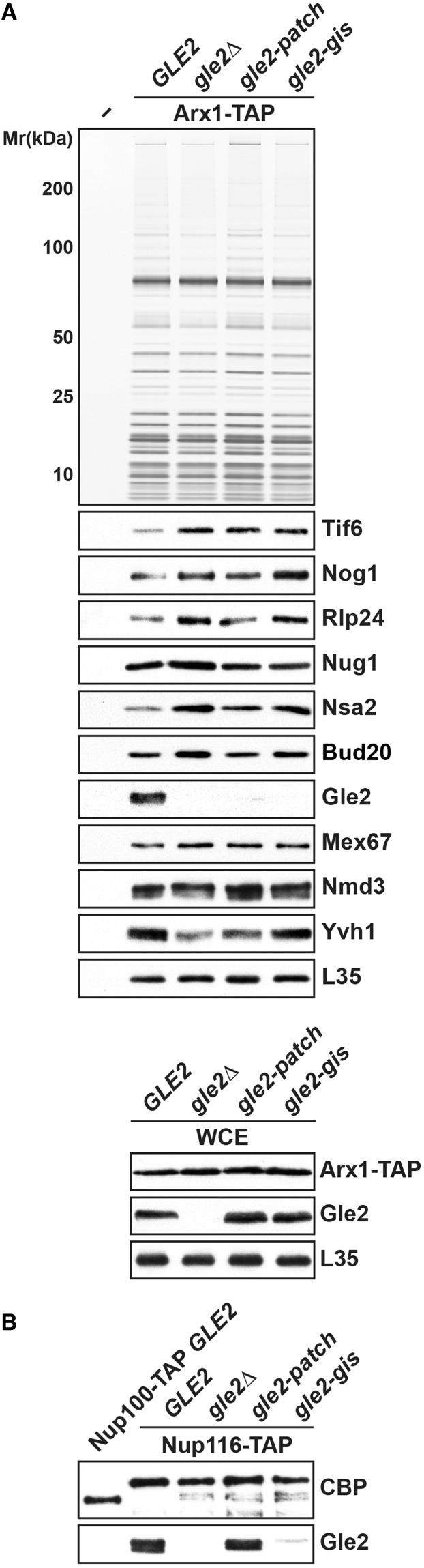 Figure 6.