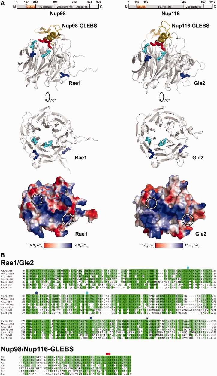 Figure 4.