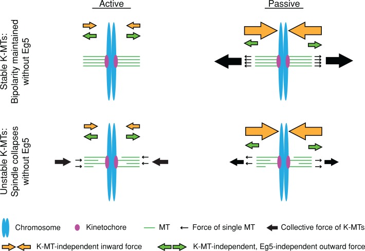 FIGURE 7: