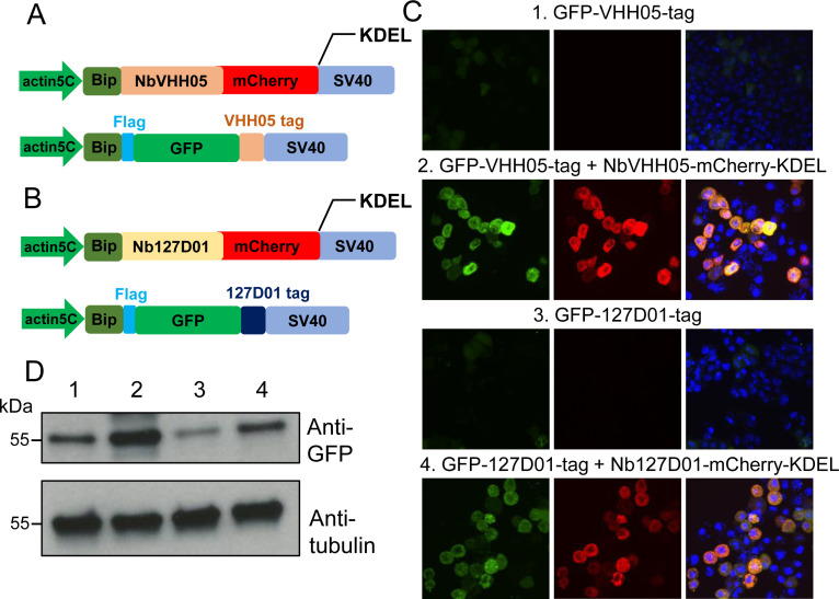 Figure 4.