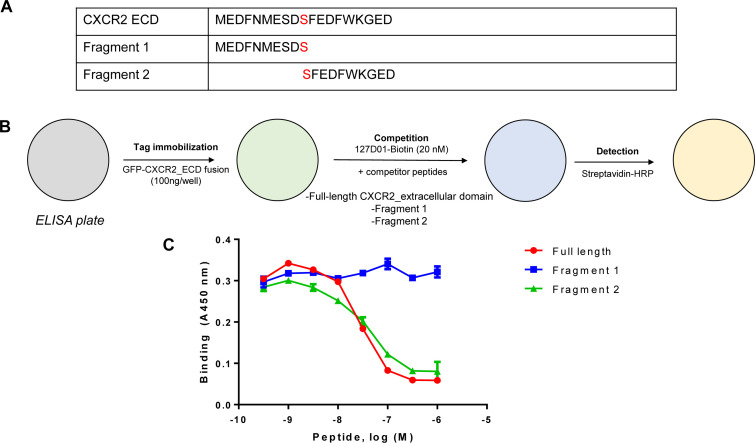 Figure 1—figure supplement 1.