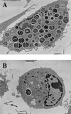 FIG. 6