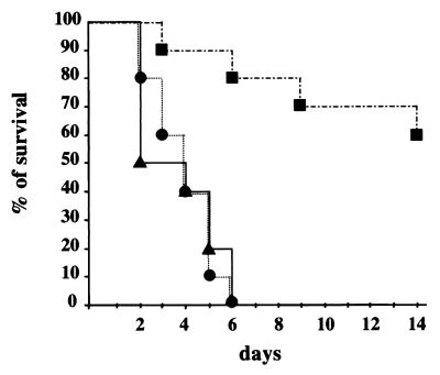 FIG. 7