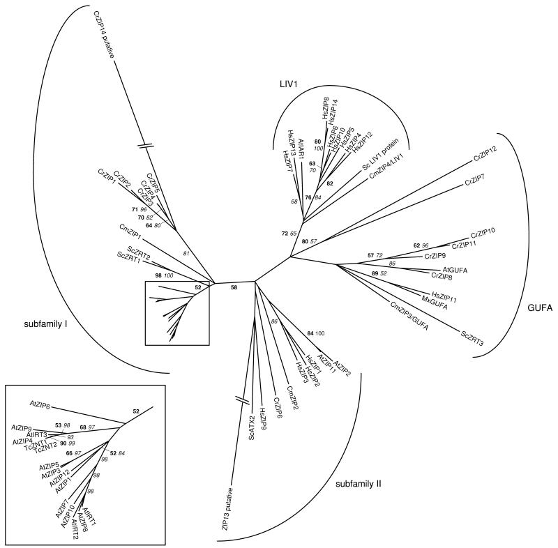 Figure 2.