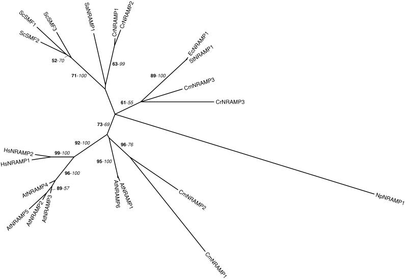 Figure 7.