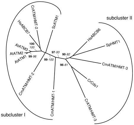 Figure 6.