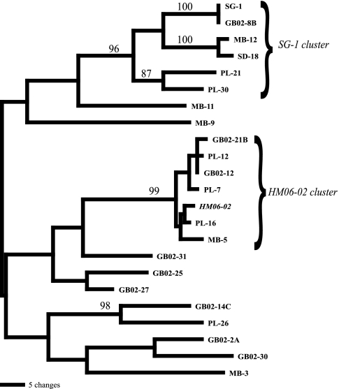 FIG. 1.