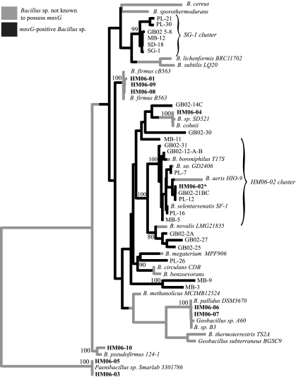 FIG. 2.